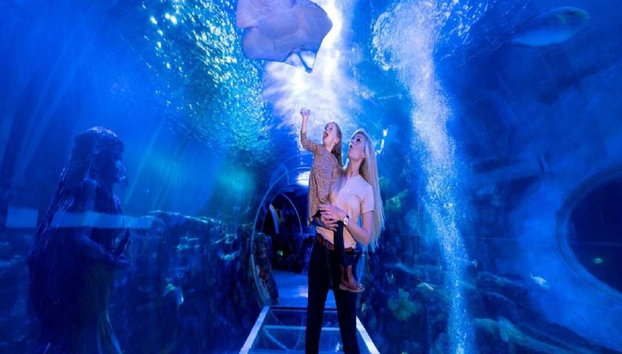 SEA LIFE - Billet - Photo 2
